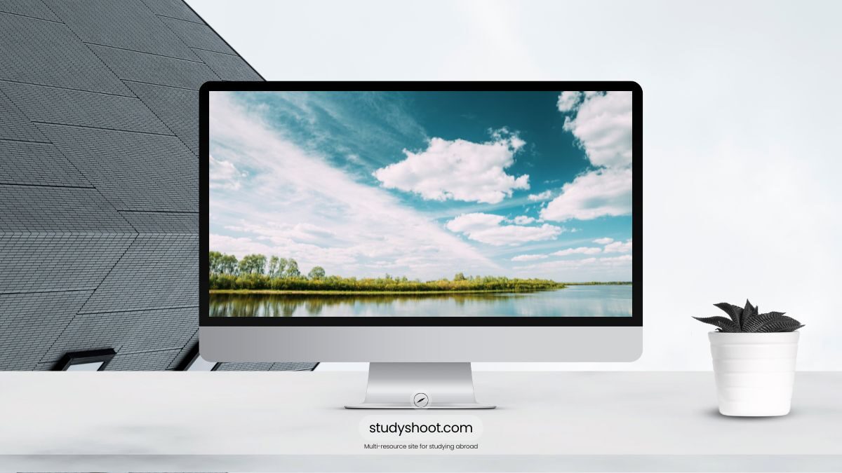 تخصصات الدراسة في بيلاروسيا