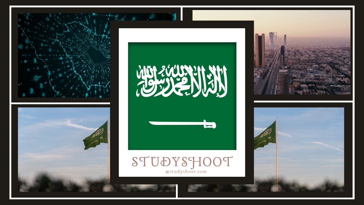 دراسة التسويق الرقمي في السعودية