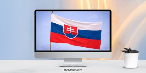 أهم تخصصات الدراسة في سلوفاكيا