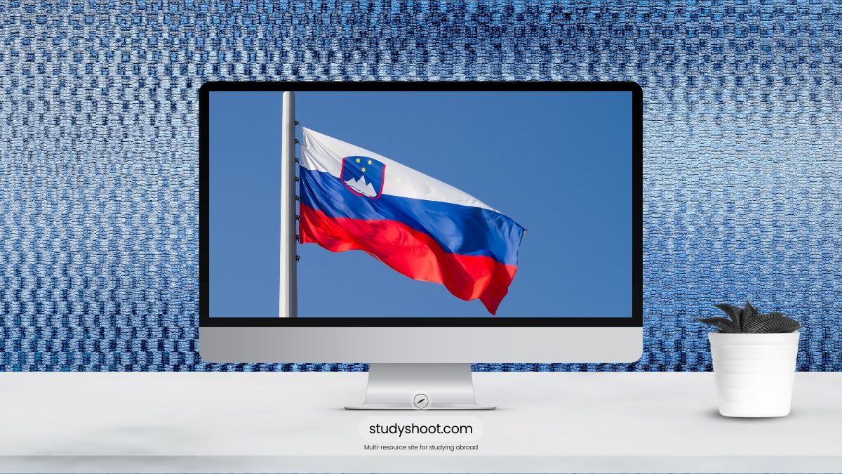 العمل أثناء الدراسة في سلوفينيا
