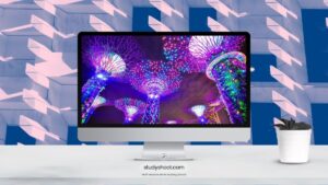 الدراسة في سنغافورة