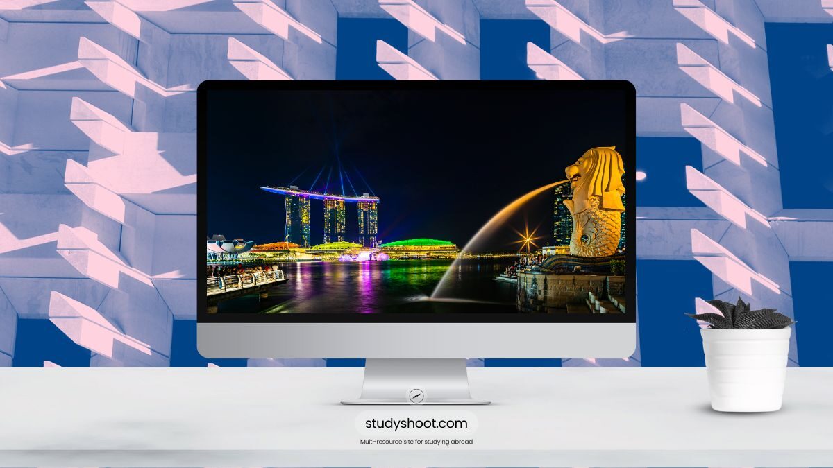 أهم تخصصات الدراسة في سنغافورة