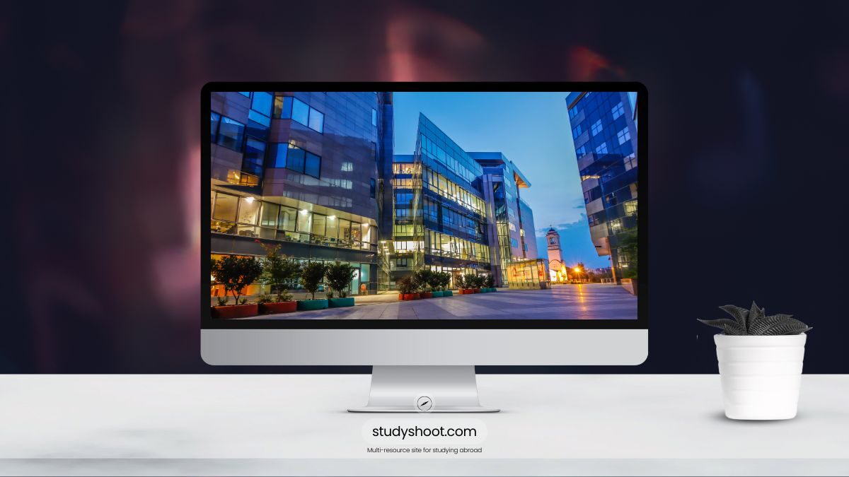 العمل أثناء الدراسة في صربيا