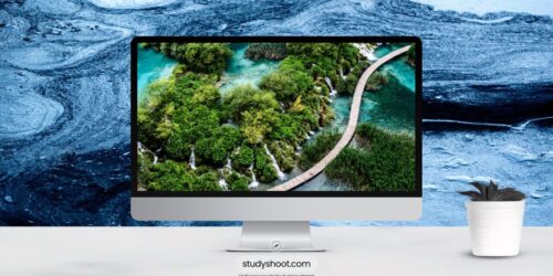 أهم تخصصات الدراسة في كرواتيا