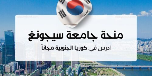 منحة جامعة سيجونغ