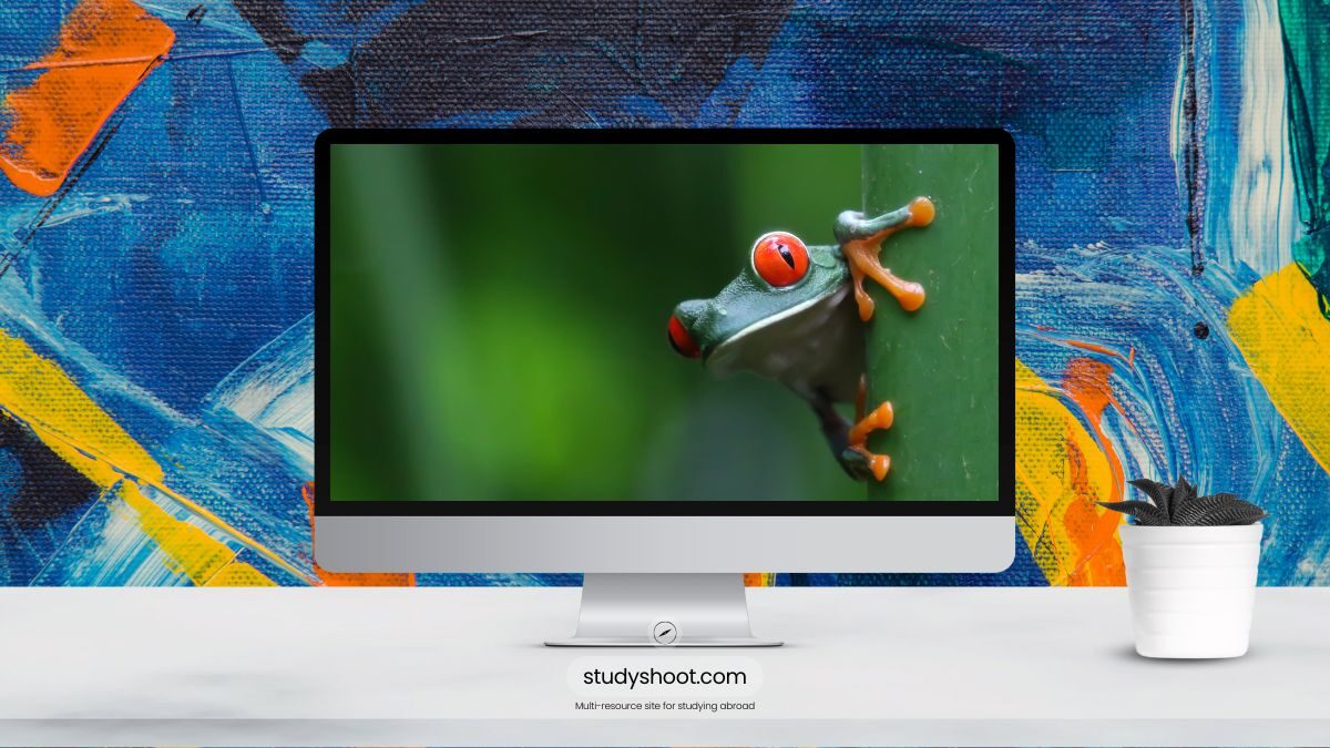 العمل في كوستاريكا