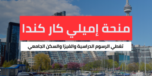 منحة جامعة إميلي كار