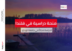 منحة جامعة توركو