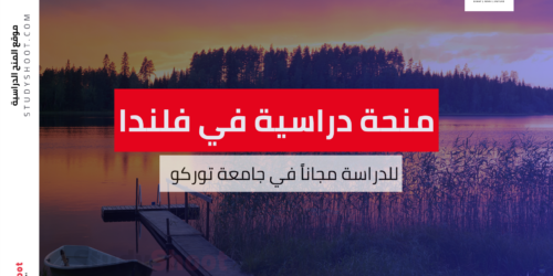 منحة جامعة توركو