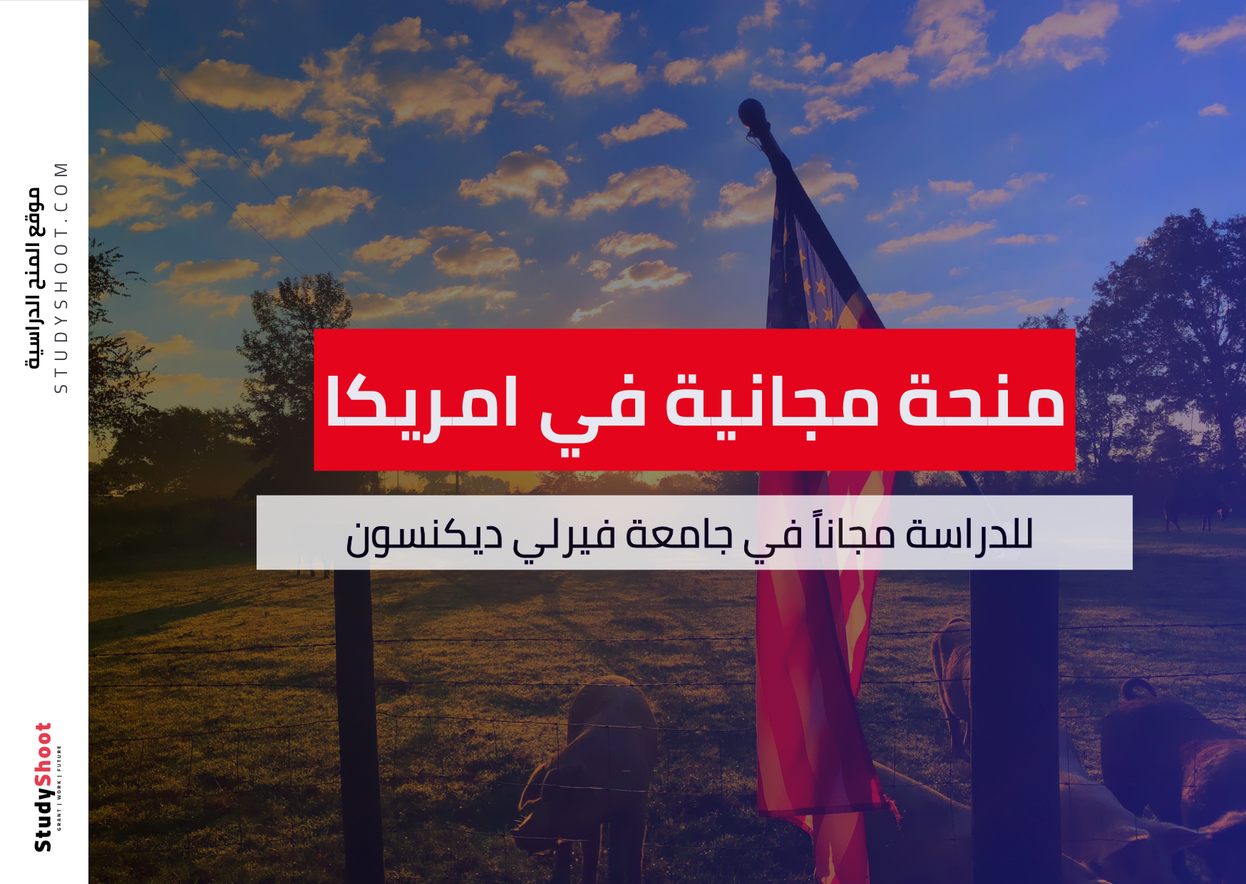 منحة جامعة فيرلي ديكنسون