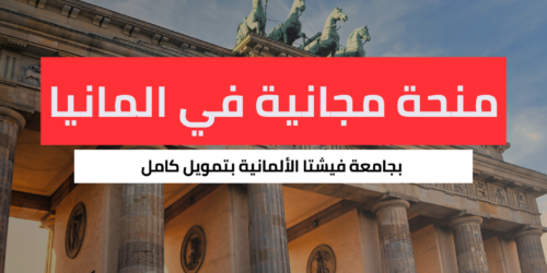 منحة جامعة فيشتا