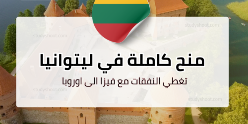 منحة جامعة فيلنيوس