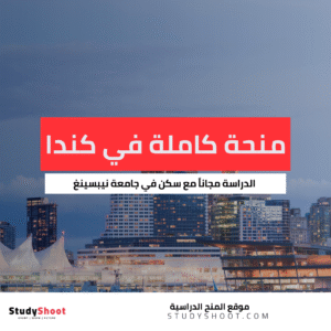 منحة جامعة نيبسينغ