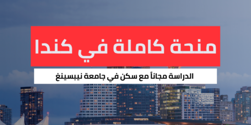 منحة جامعة نيبسينغ