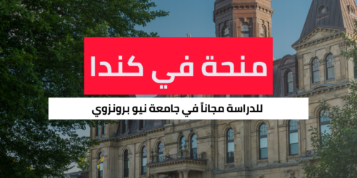 منحة جامعة نيو برونزويك