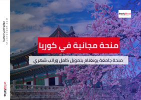 منحة جامعة يونغنام