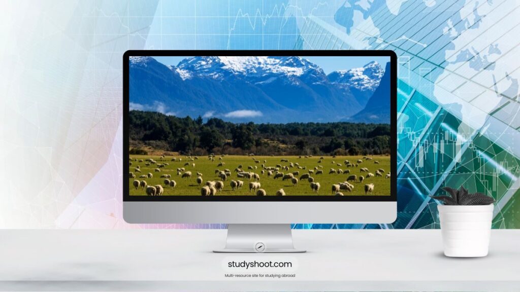 العمل في نيوزيلندا