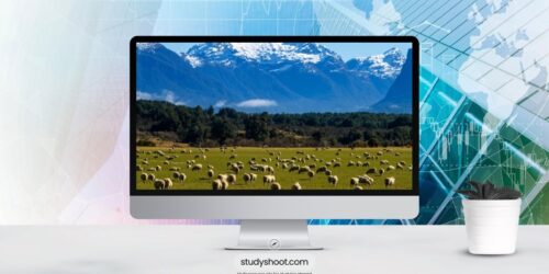 العمل في نيوزيلندا