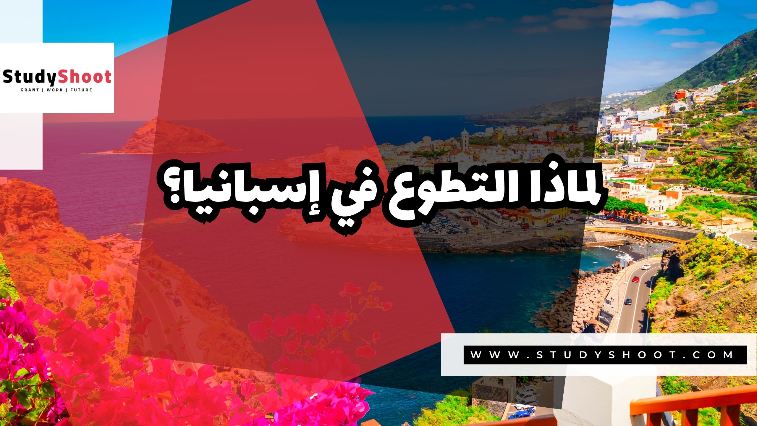 لماذا التطوع في إسبانيا؟ 