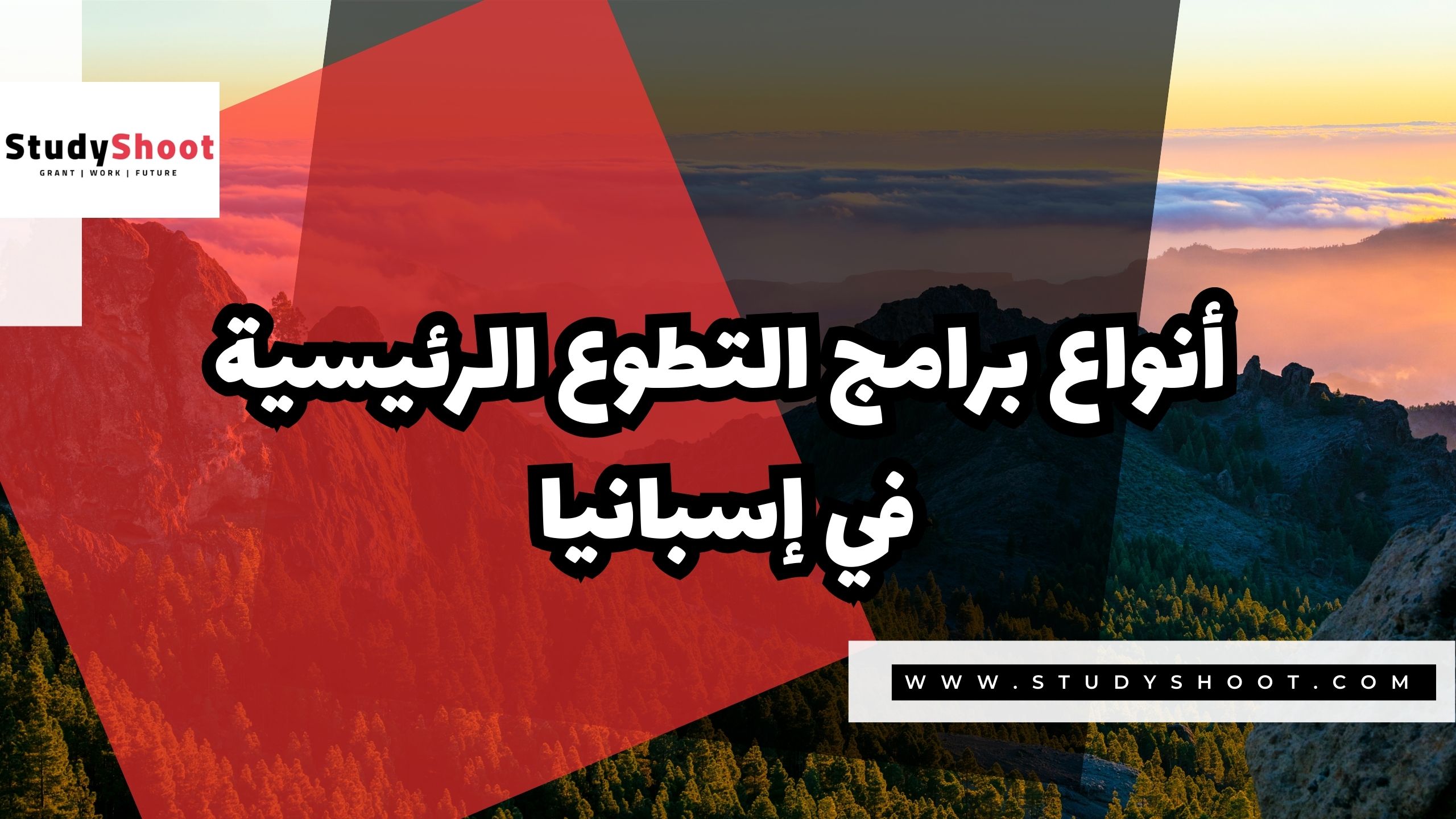  أنواع برامج التطوع الرئيسية في إسبانيا