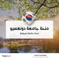 منحة جامعة دونغسيو