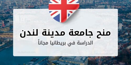 منحة جامعة مدينة لندن