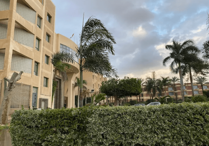 تخصصات جامعة مصر الدولية