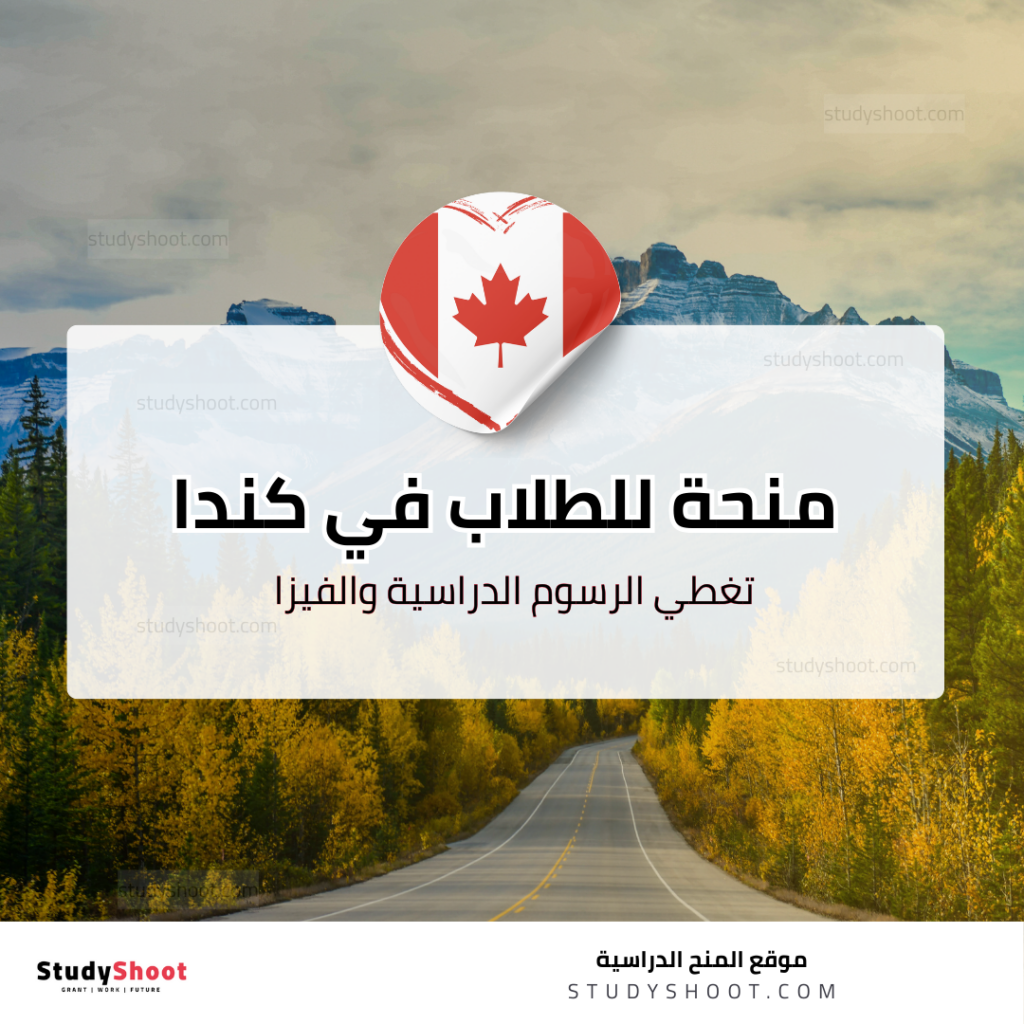 منح كلية هامبر