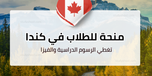 منح كلية هامبر