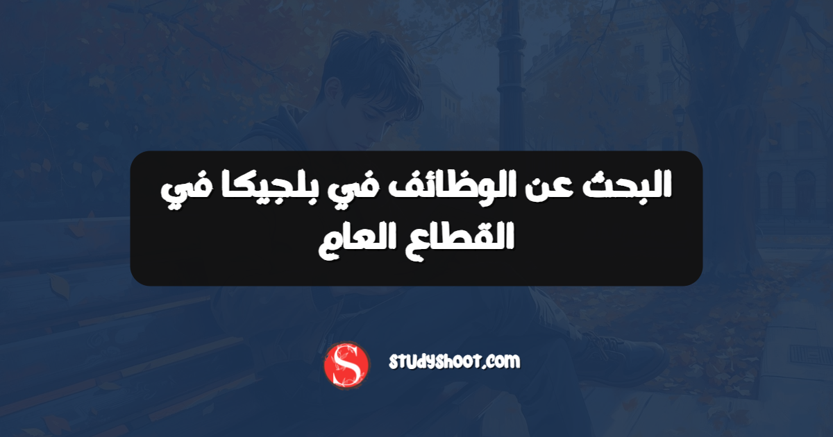 البحث عن الوظائف في بلجيكا في القطاع العام