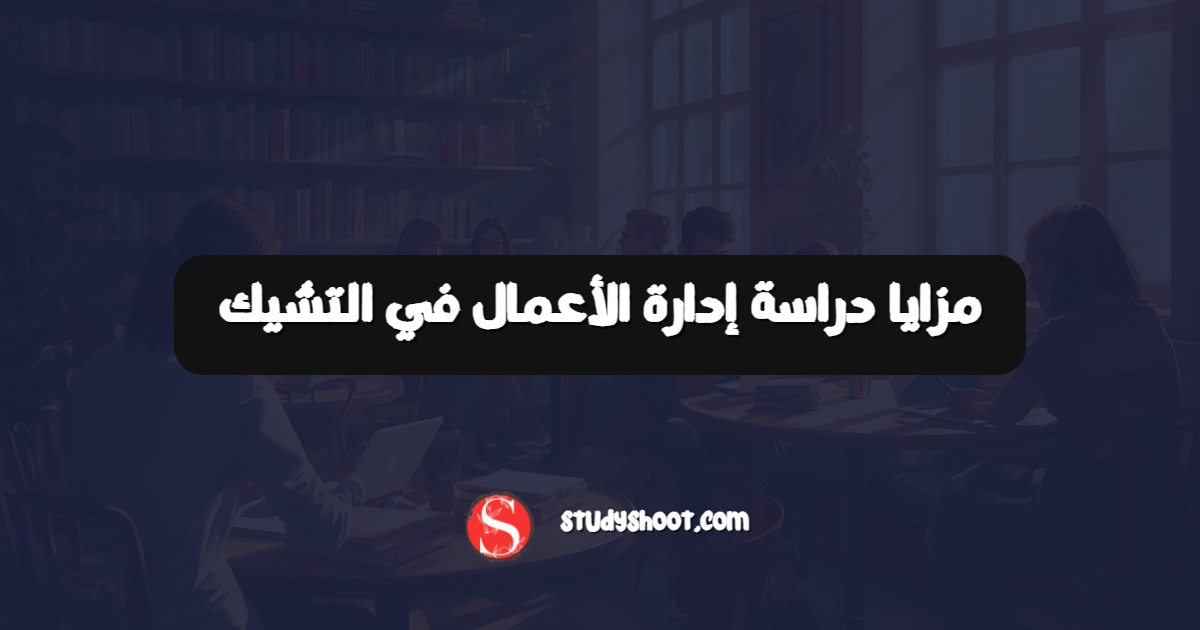 مزايا دراسة إدارة الأعمال في التشيك