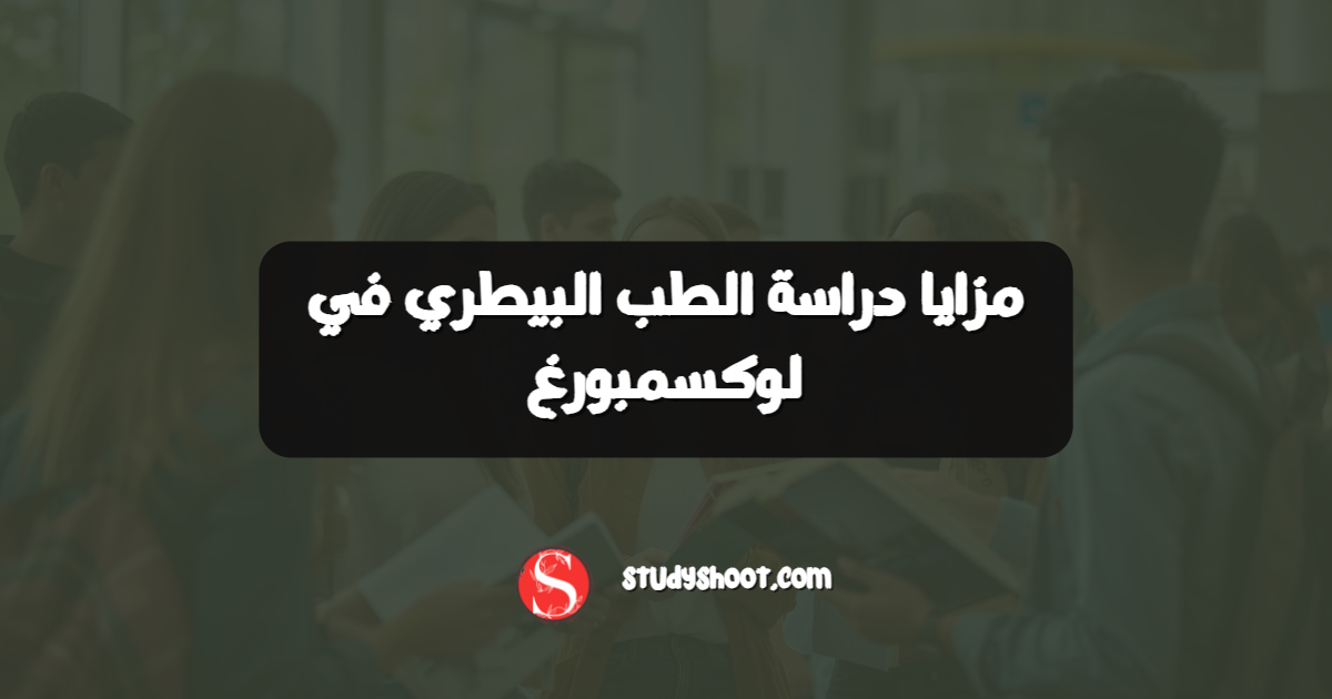 مزايا دراسة الطب البيطري في لوكسمبورغ