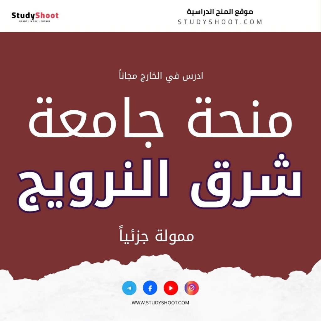منحة جامعة جنوب شرق النرويج