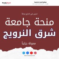 منحة جامعة جنوب شرق النرويج