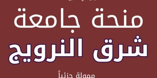 منحة جامعة جنوب شرق النرويج