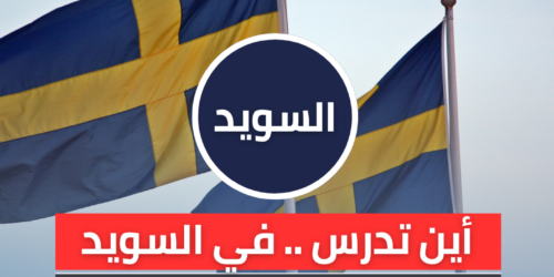 أهم تخصصات الدراسة في السويد