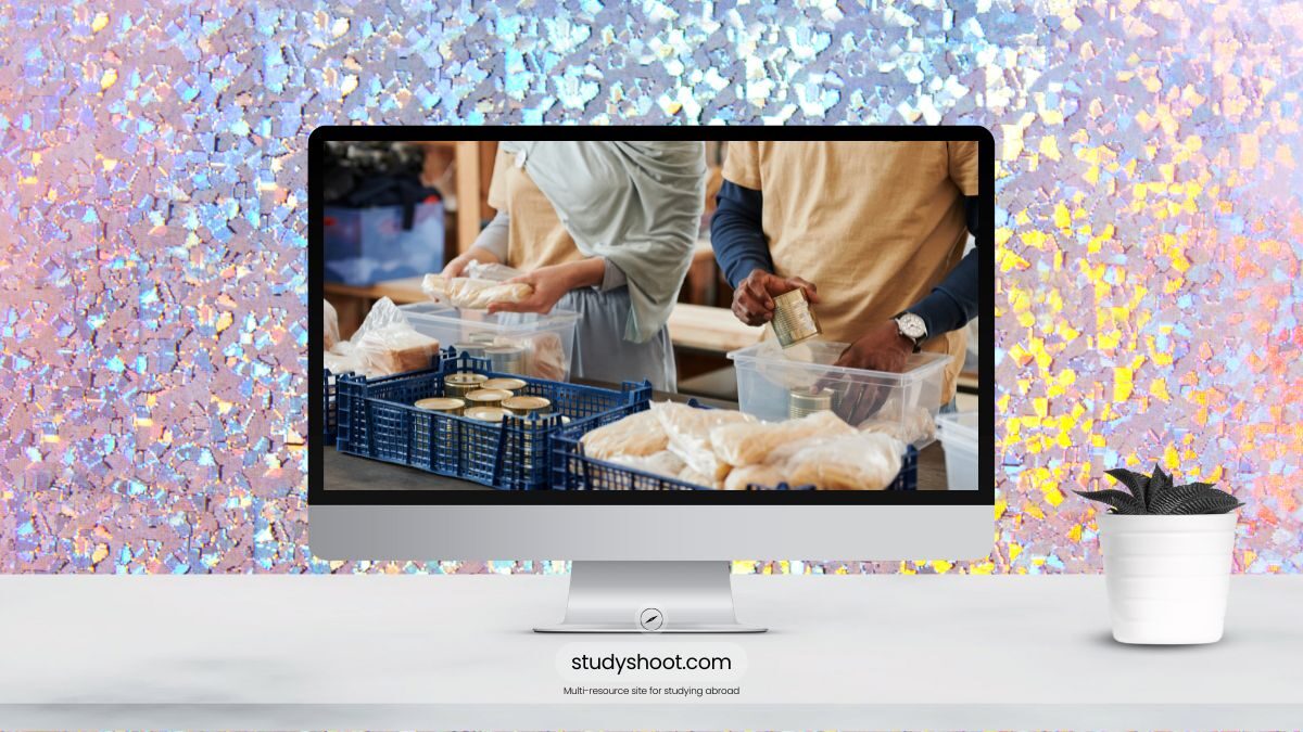 التطوع في التشيك