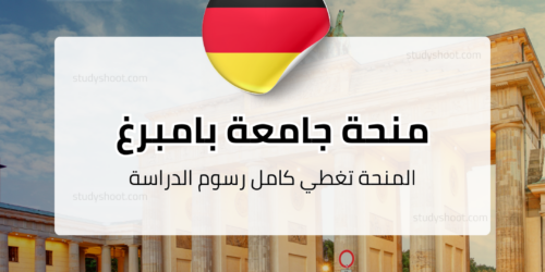 منحة جامعة بامبرغ