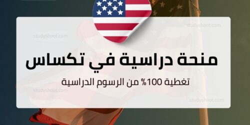 منحة جامعة تكساس