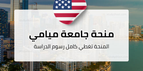 منحة جامعة ميامي