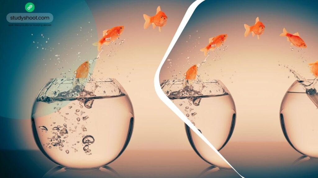 الصورة الحالية: الت مع تغيرات