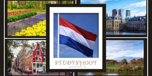 جامعة تيلبورغ