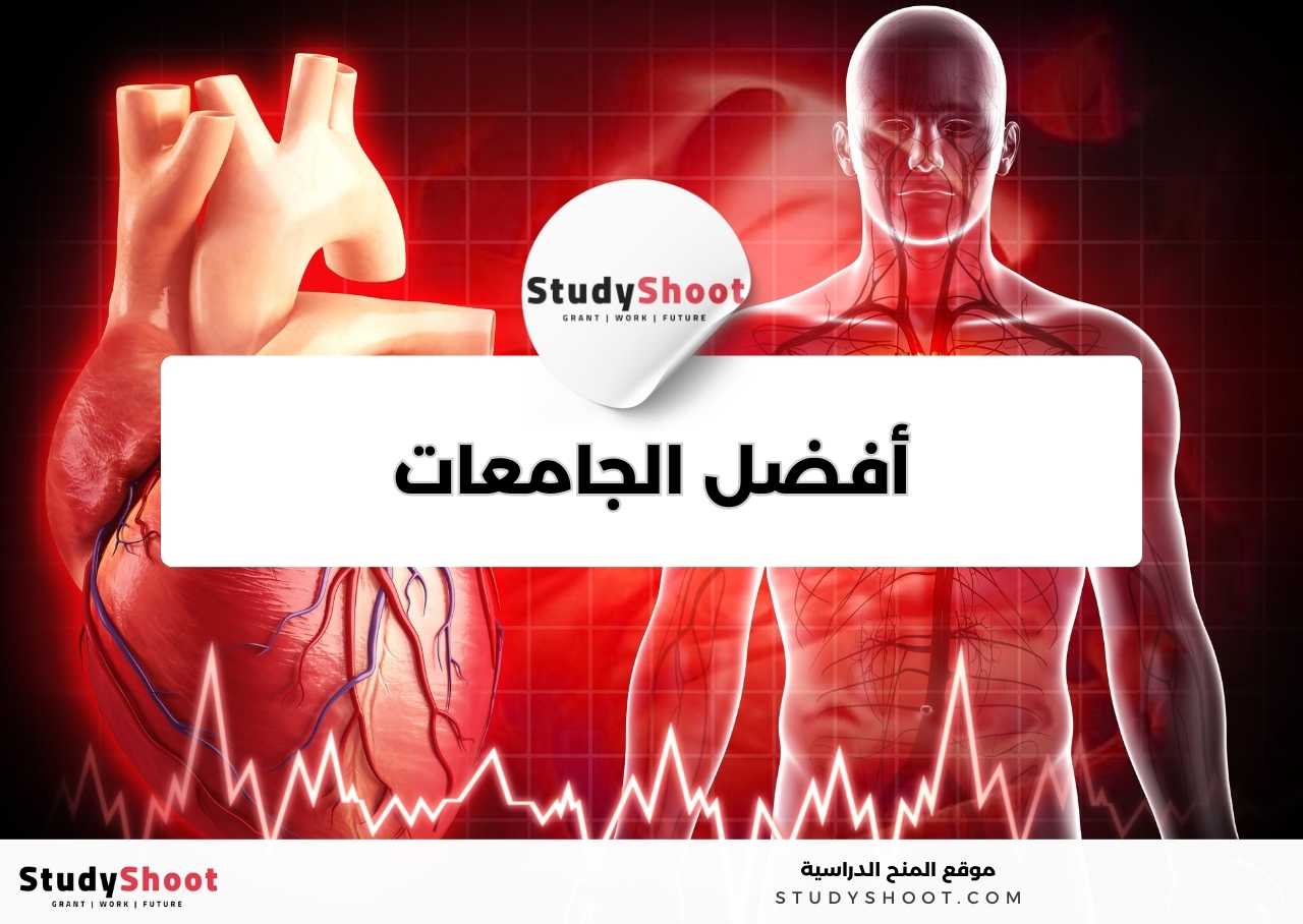 في أي مجالات يمكن العمل بعد دراسة تخصص الطب البشري؟