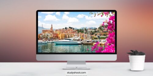 جامعة أورليان