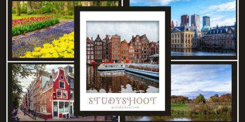 جامعة فونتيس