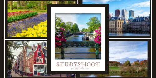 جامعة كودارتس