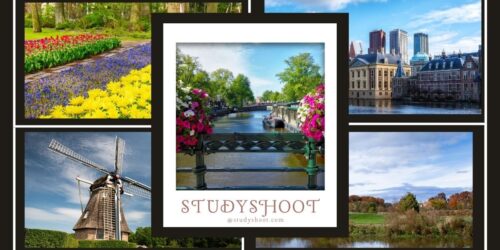 جامعة آفانتيوم