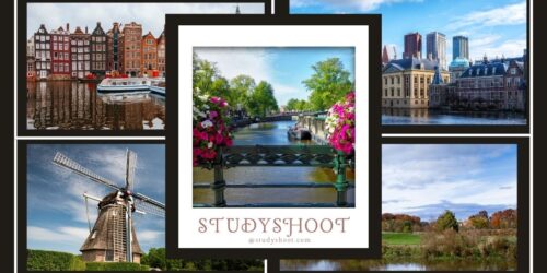 جامعة ليواوردن