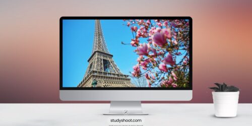 جامعة بربينيان