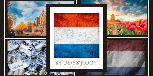 جامعة روتردام